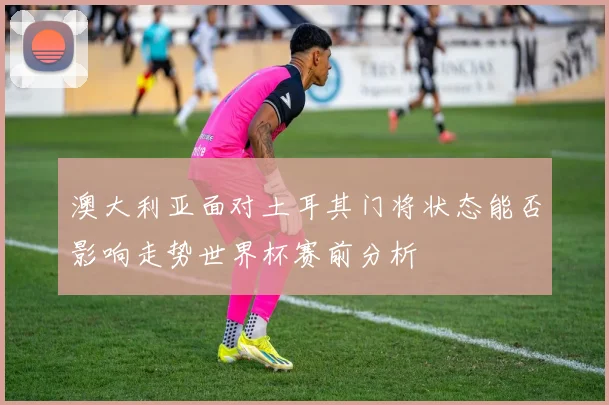 澳大利亚面对土耳其门将状态能否影响走势世界杯赛前分析