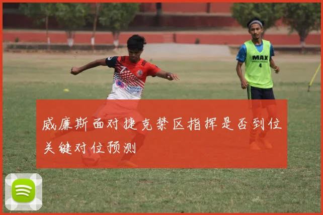 威廉斯面对捷克禁区指挥是否到位关键对位预测