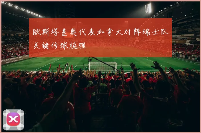 欧斯塔基奥代表加拿大对阵瑞士队关键传球梳理